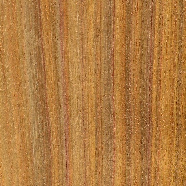 canarywood